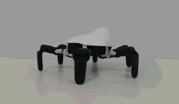 Hexa robot spider en marche